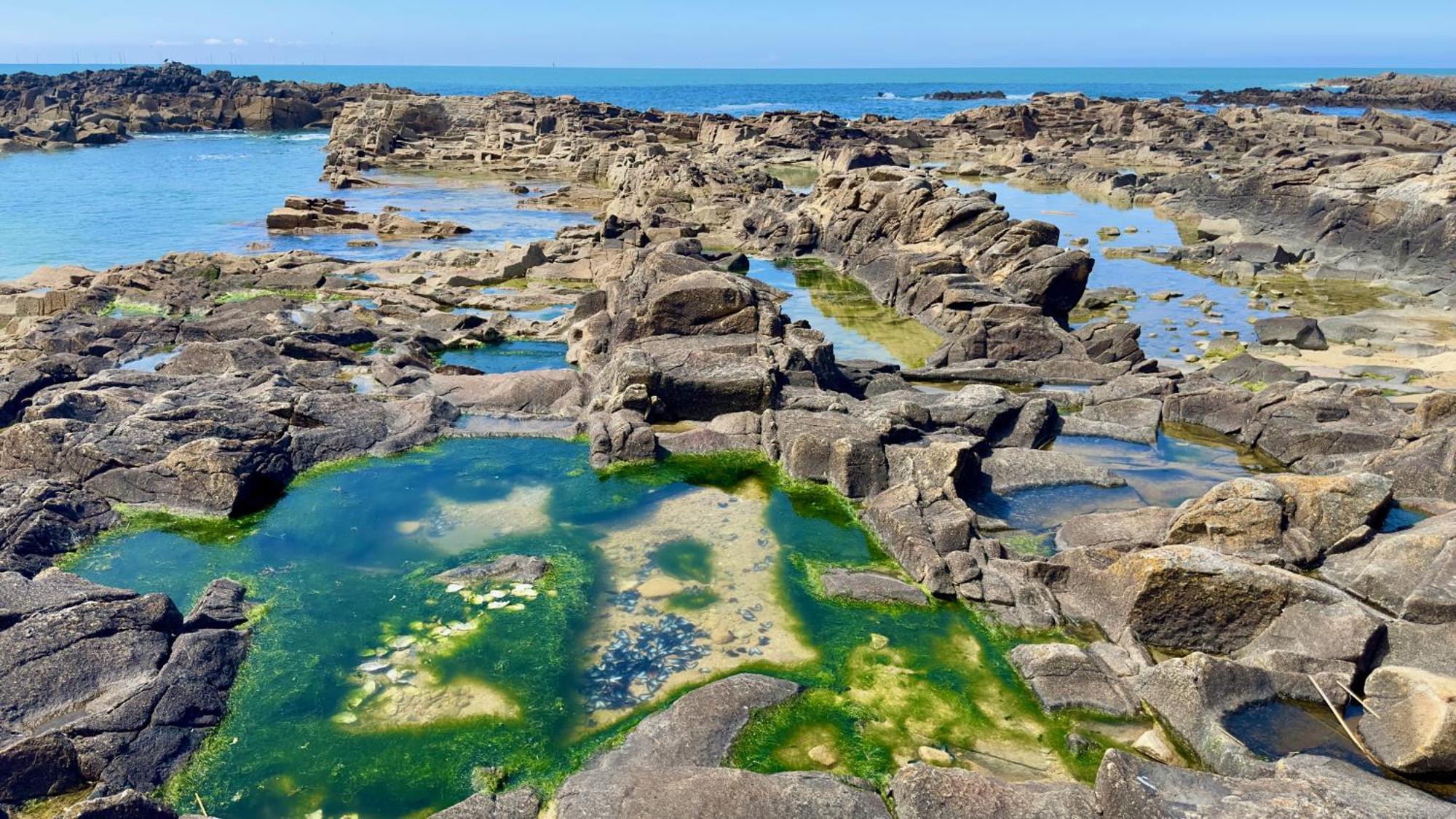Hotel L'Albatros Le Pouliguen Exteriér fotografie
